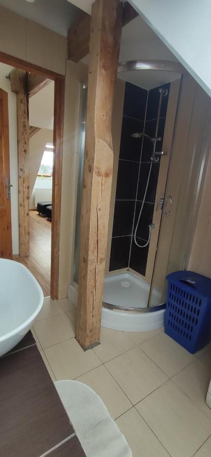 Apartament Gliwice Centrum Εξωτερικό φωτογραφία